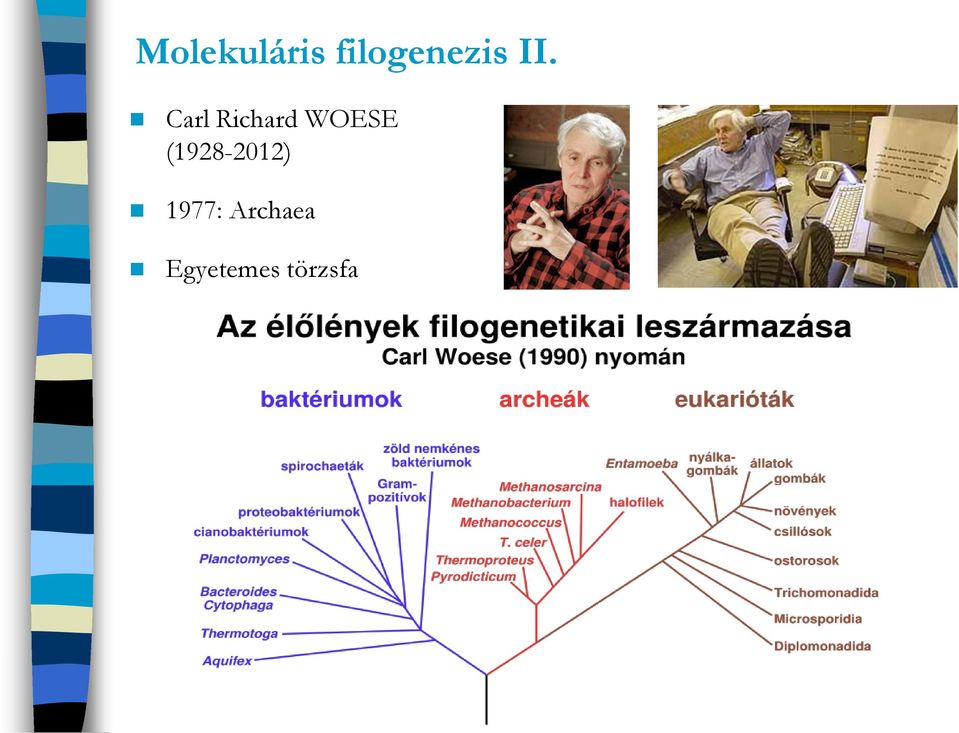 Carl Richard WOESE