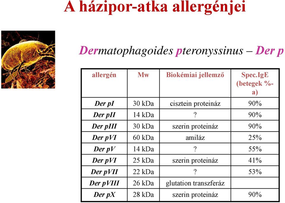 90% Der piii 30 kda szerin proteináz 90% Der pvi 60 kda amiláz 25% Der pv 14 kda?