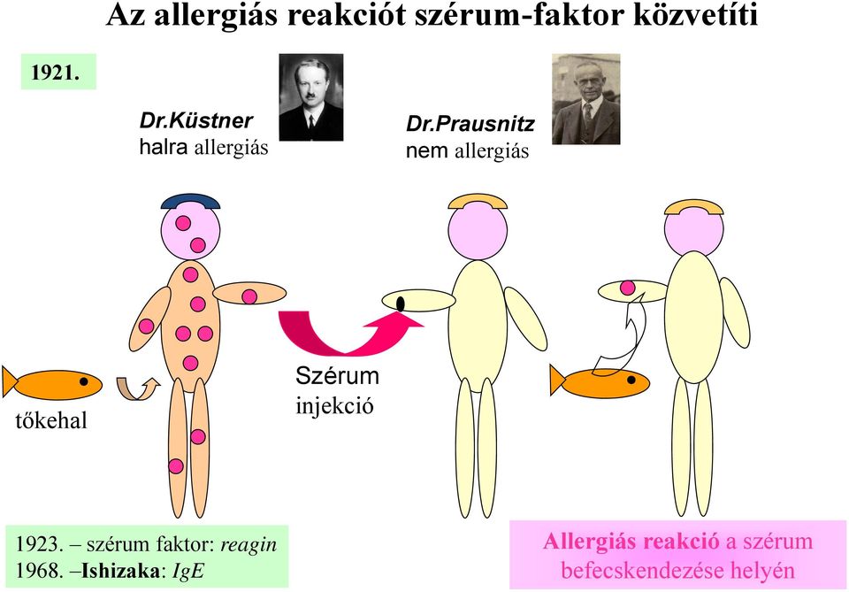 Prausnitz nem allergiás tőkehal Szérum injekció 1923.