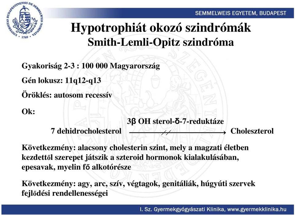 alacsony cholesterin szint, mely a magzati életben kezdettıl szerepet játszik a szteroid hormonok kialakulásában,