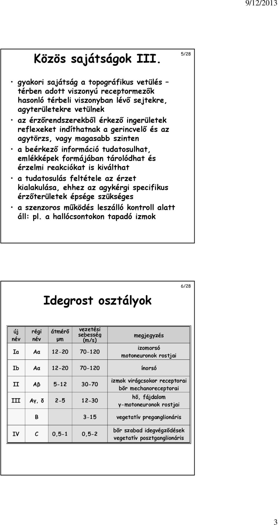 érzőrendszerekből érkező ingerületek reflexeket indíthatnak a gerincvelő és az agytörzs, vagy magasabb szinten a beérkező információ tudatosulhat,