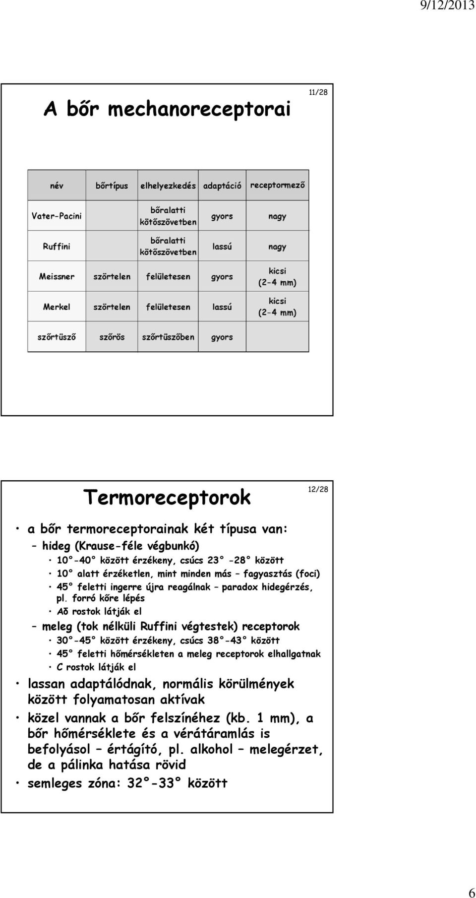 forró kőre lépés Aδ rostok látják el meleg (tok nélküli Ruffini végtestek) receptorok 30-45 között érzékeny, csúcs 38-43 között 45 feletti hőmérsékleten a meleg receptorok