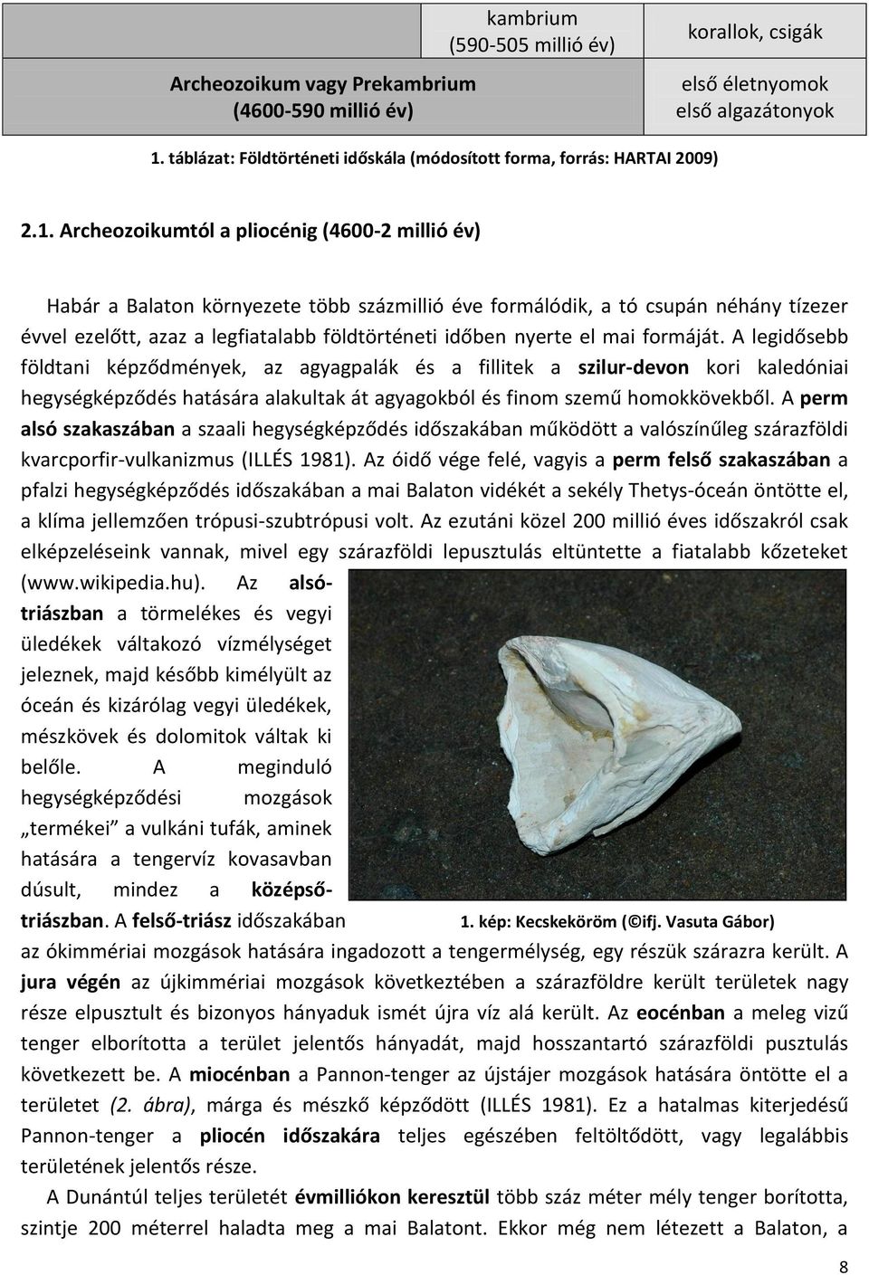 Archeozoikumtól a pliocénig (4600-2 millió év) Habár a Balaton környezete több százmillió éve formálódik, a tó csupán néhány tízezer évvel ezelőtt, azaz a legfiatalabb földtörténeti időben nyerte el