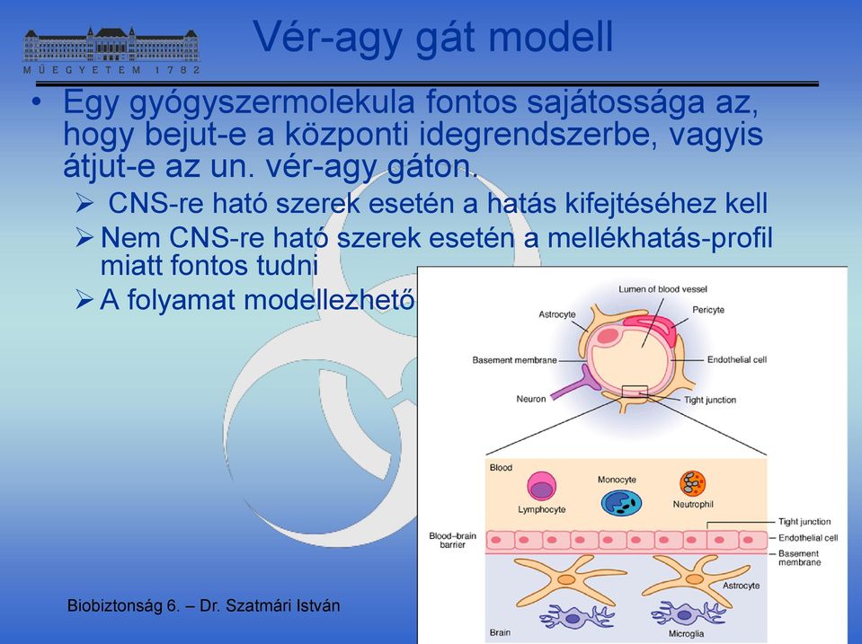 CNS-re ható szerek esetén a hatás kifejtéséhez kell Nem CNS-re ható szerek esetén