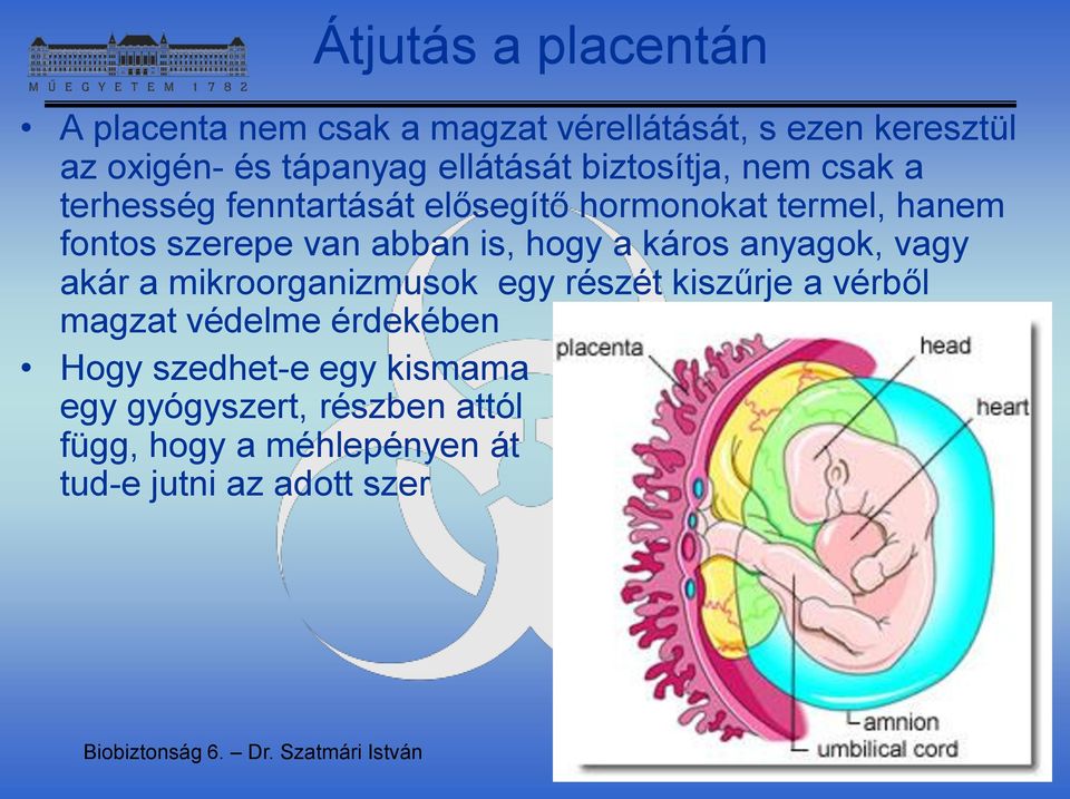 káros anyagok, vagy akár a mikroorganizmusok egy részét kiszűrje a vérből magzat védelme érdekében Hogy szedhet-e egy