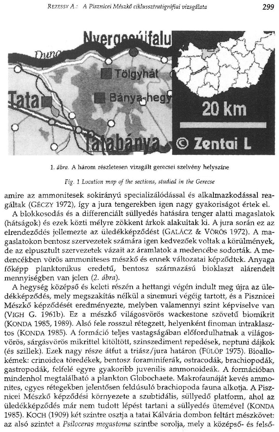 értek el. A blokkosodás és a differenciált süllyedés hatására tenger alatti magaslatok (hátságok) és ezek közti mélyre zökkent árkok alakultak ki.