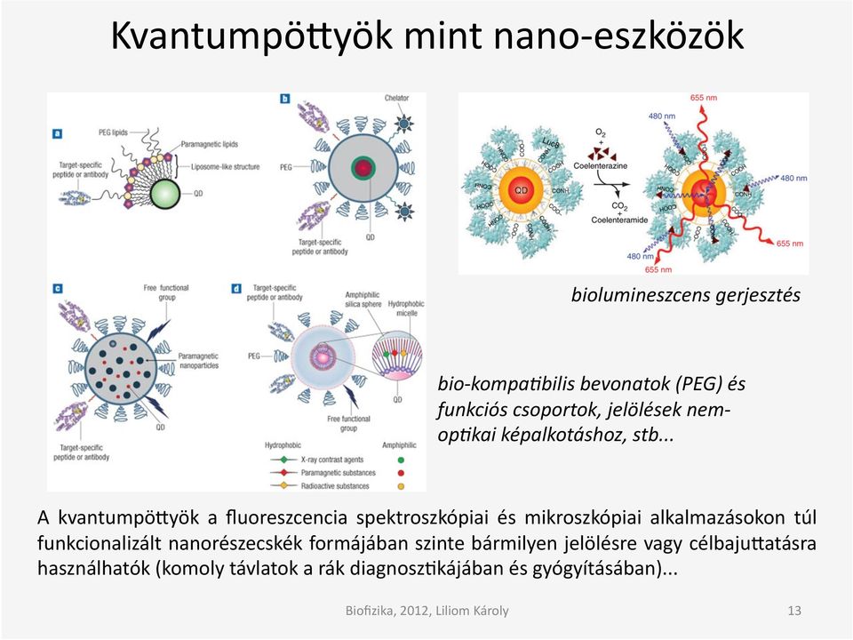 .. A kvantumpömyök a fluoreszcencia spektroszkópiai és mikroszkópiai alkalmazásokon túl