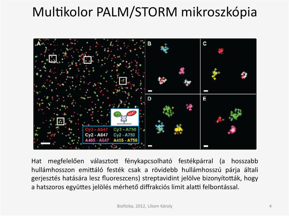 hullámhosszú párja általi gerjesztés hatására lesz fluoreszcens) streptavidint