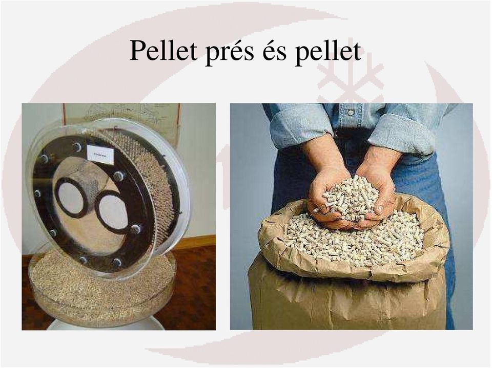 pellet