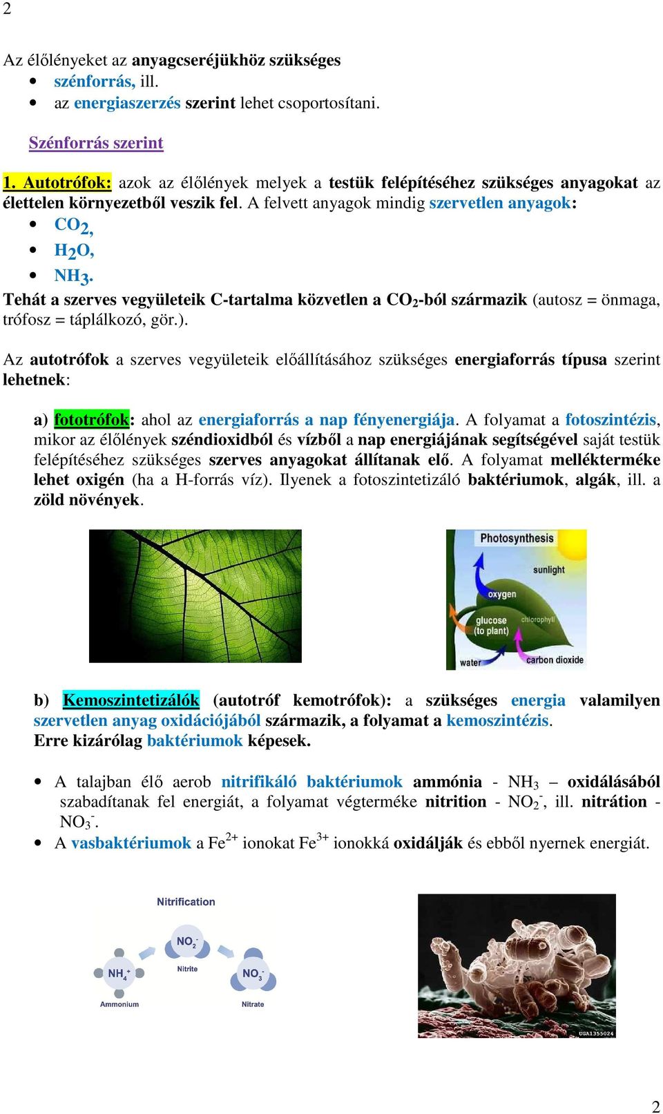 Tehát a szerves vegyületeik C-tartalma közvetlen a CO 2 -ból származik (autosz = önmaga, trófosz = táplálkozó, gör.).