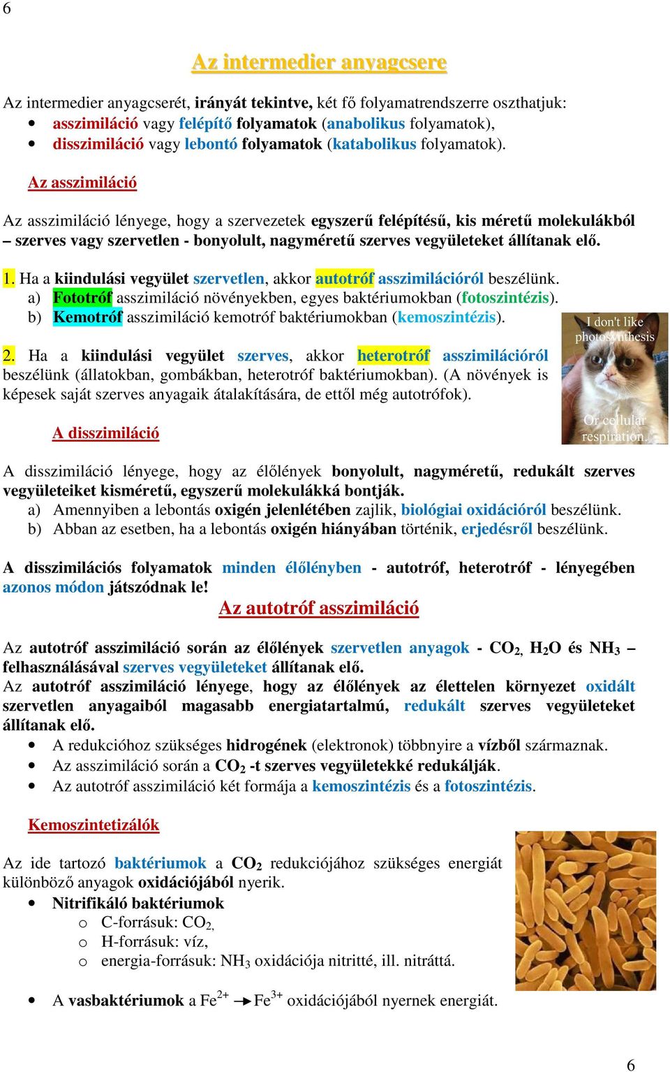 Az asszimiláció Az asszimiláció lényege, hogy a szervezetek egyszerű felépítésű, kis méretű molekulákból szerves vagy szervetlen - bonyolult, nagyméretű szerves vegyületeket állítanak elő. 1.