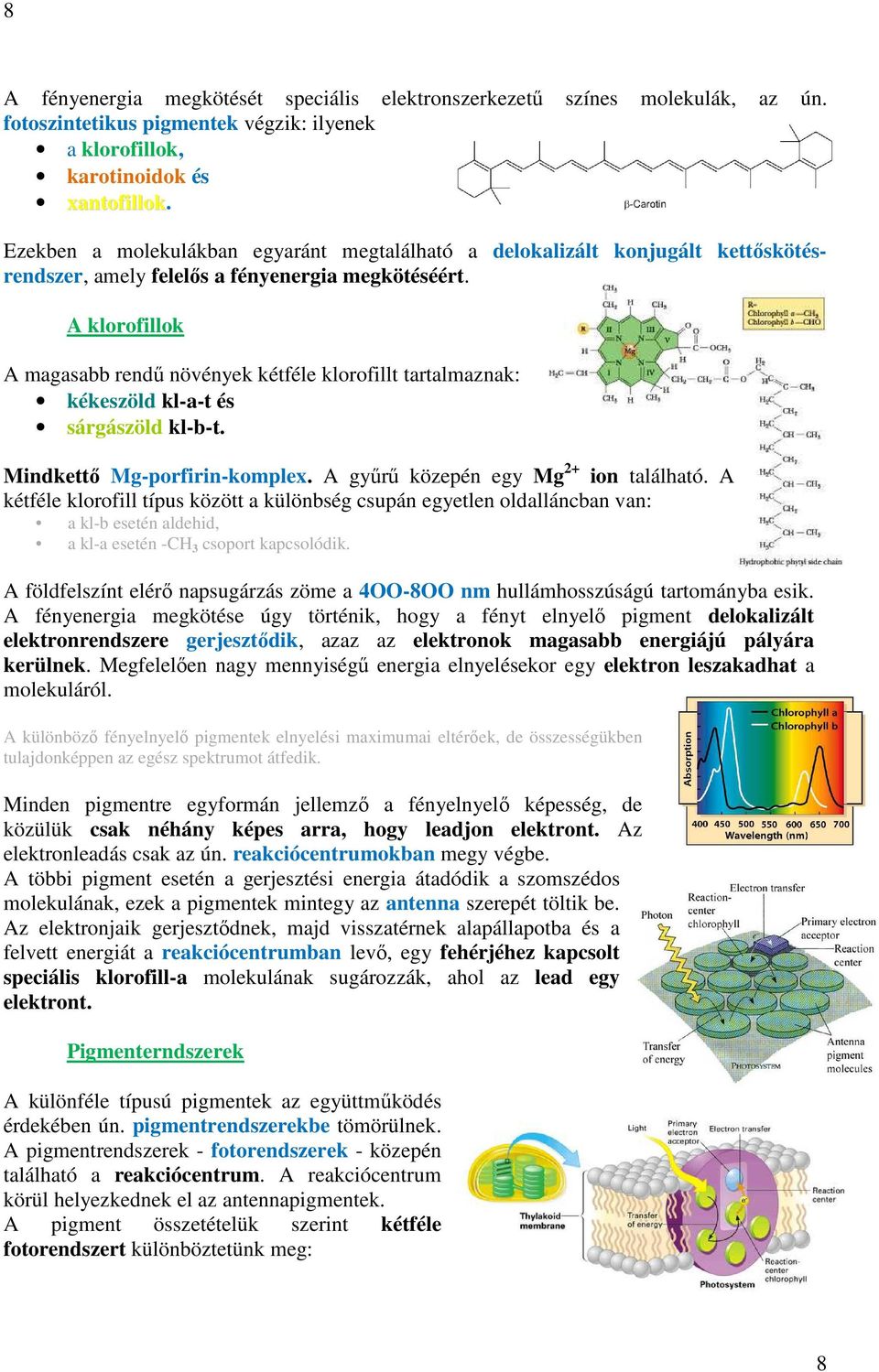 A klorofillok A magasabb rendű növények kétféle klorofillt tartalmaznak: kékeszöld kl-a-t és sárgászöld kl-b-t. Mindkettő Mg-porfirin-komplex. A gyűrű közepén egy Mg 2+ ion található.