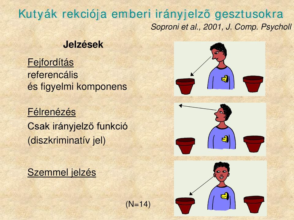 Psycholl Jelzések Fejfordítás referencális és figyelmi