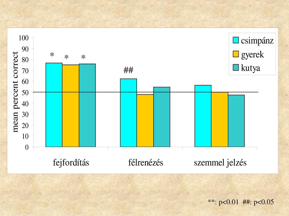 gyerek kutya 0 fejfordítás