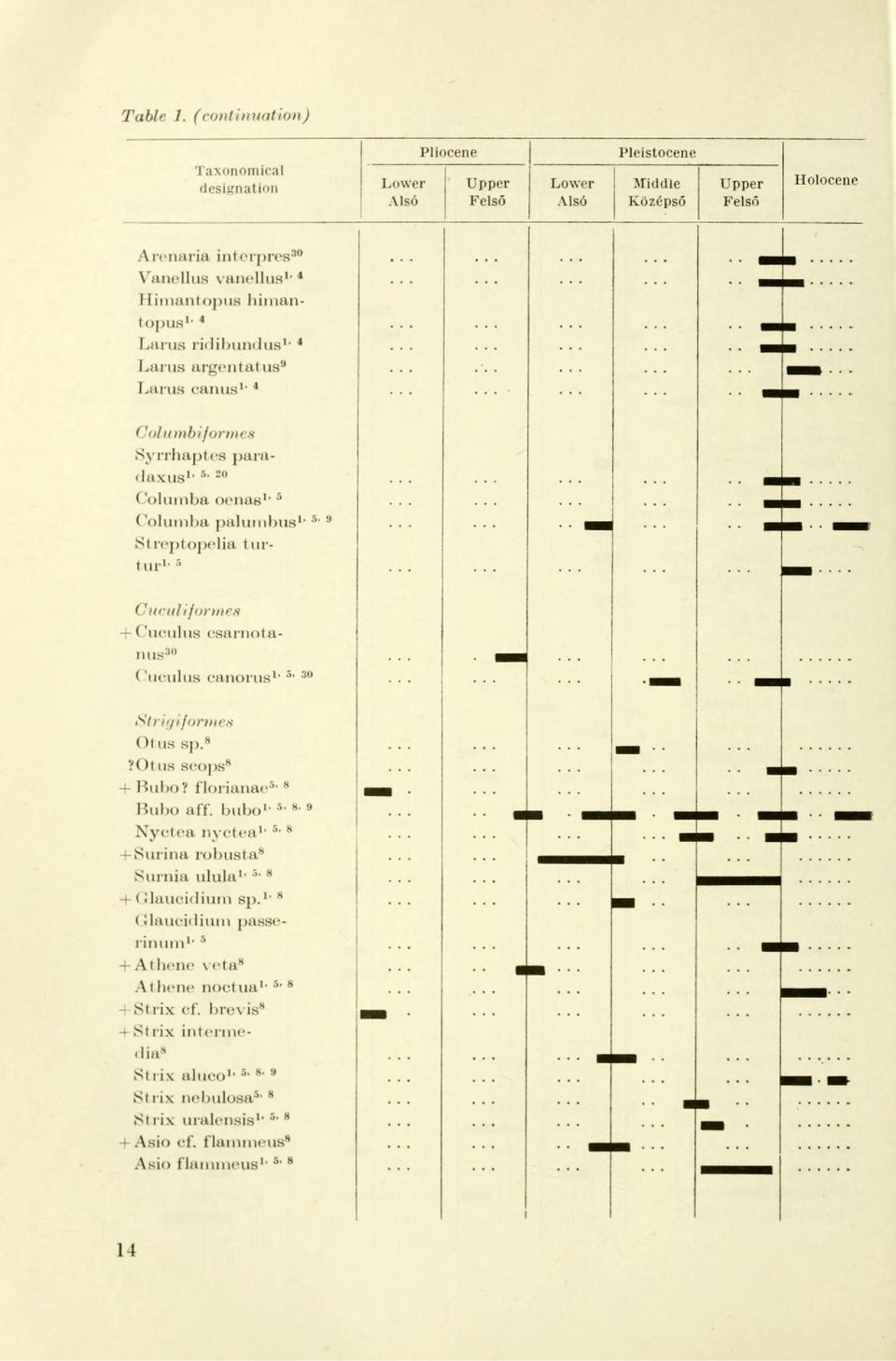 s> Cttculi formen - Cuculua csarnotaniis 30 ('uculus canorua 1, Si 3 0 ijormis Ol us sp. 8?()t us BCOpa* + Hulx)? florianae*' 8 Bubo äff.