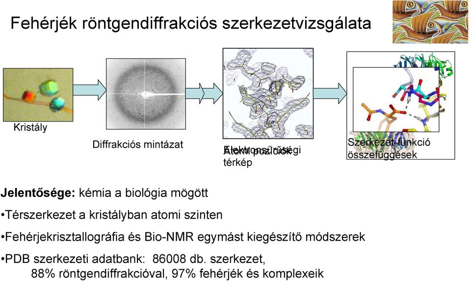 Térszerkezet a kristályban atomi szinten Fehérjekrisztallográfia és Bio-NMR egymást kiegészítő