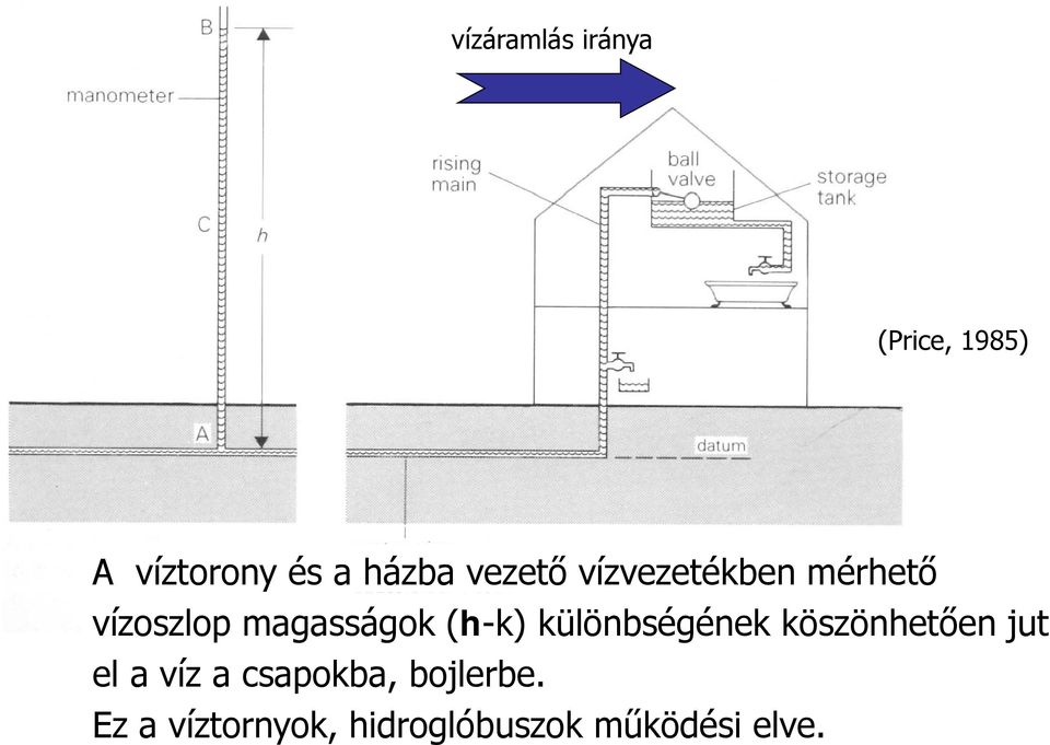 (h-k) különbségének köszönhetően jut el a víz a