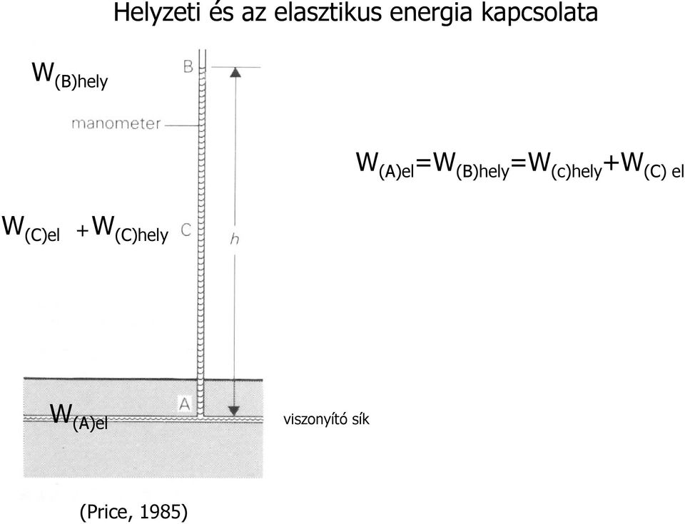 (B)hely =W (c)hely +W (C) el W (C)el