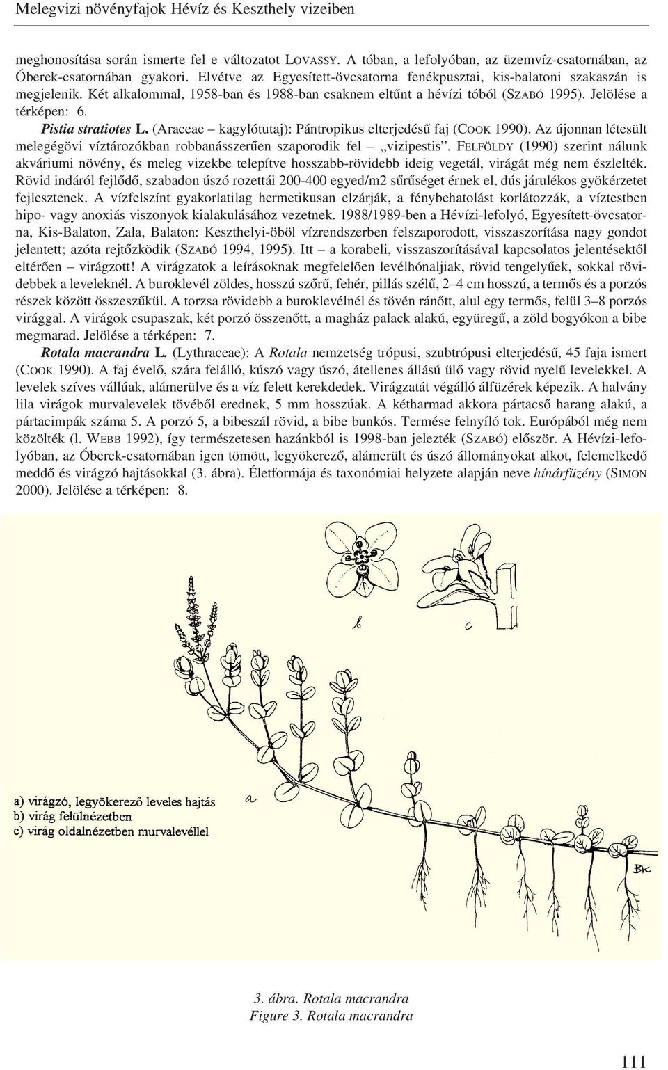 Pistia stratiotes L. (Araceae kagylótutaj): Pántropikus elterjedésû faj (COOK 1990). Az újonnan létesült melegégövi víztározókban robbanásszerûen szaporodik fel vizipestis.