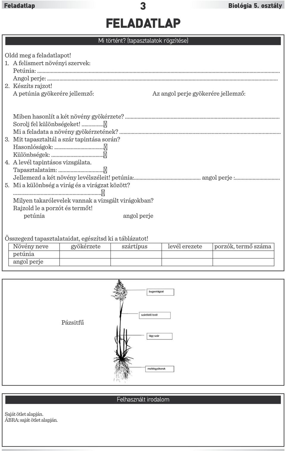 Mit tapasztaltál a szár tapintása során? Hasonlóságok:...6 Különbségek:...6 4. A levél tapintásos vizsgálata. Tapasztalataim:...6 Jellemezd a két növény levélszéleit! petúnia:. angol perje :... 5.