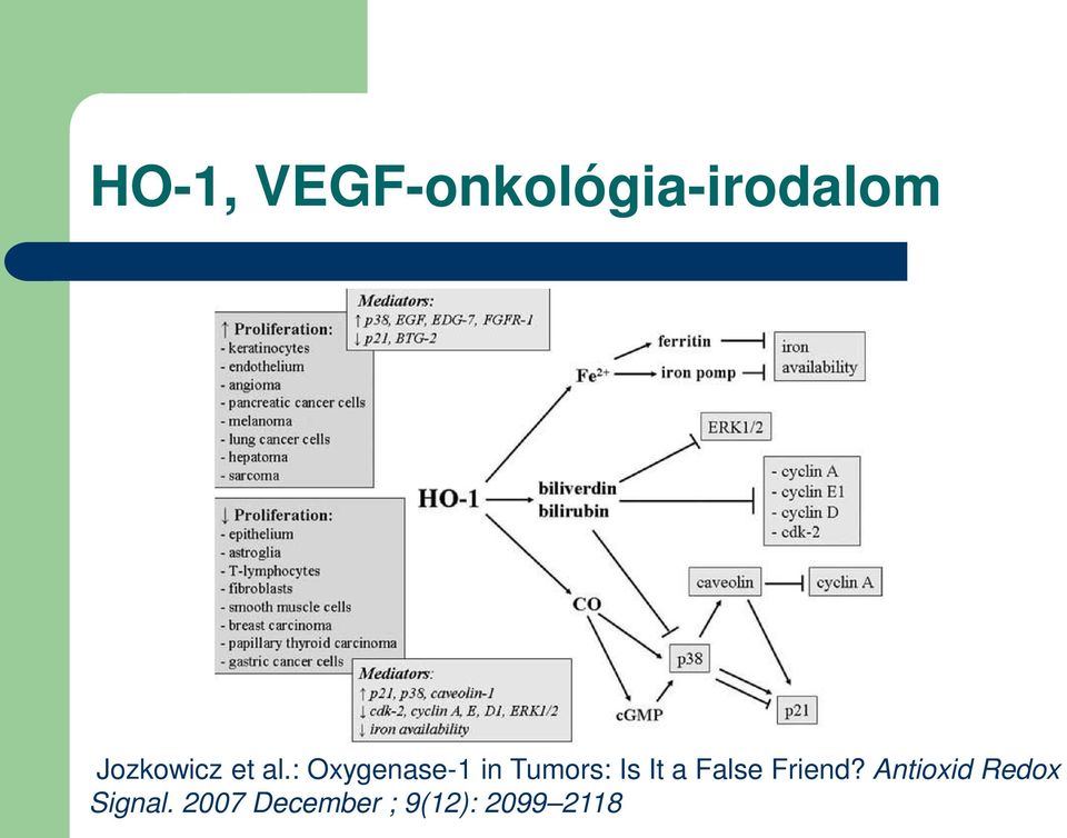 : Oxygenase-1 in Tumors: Is It a