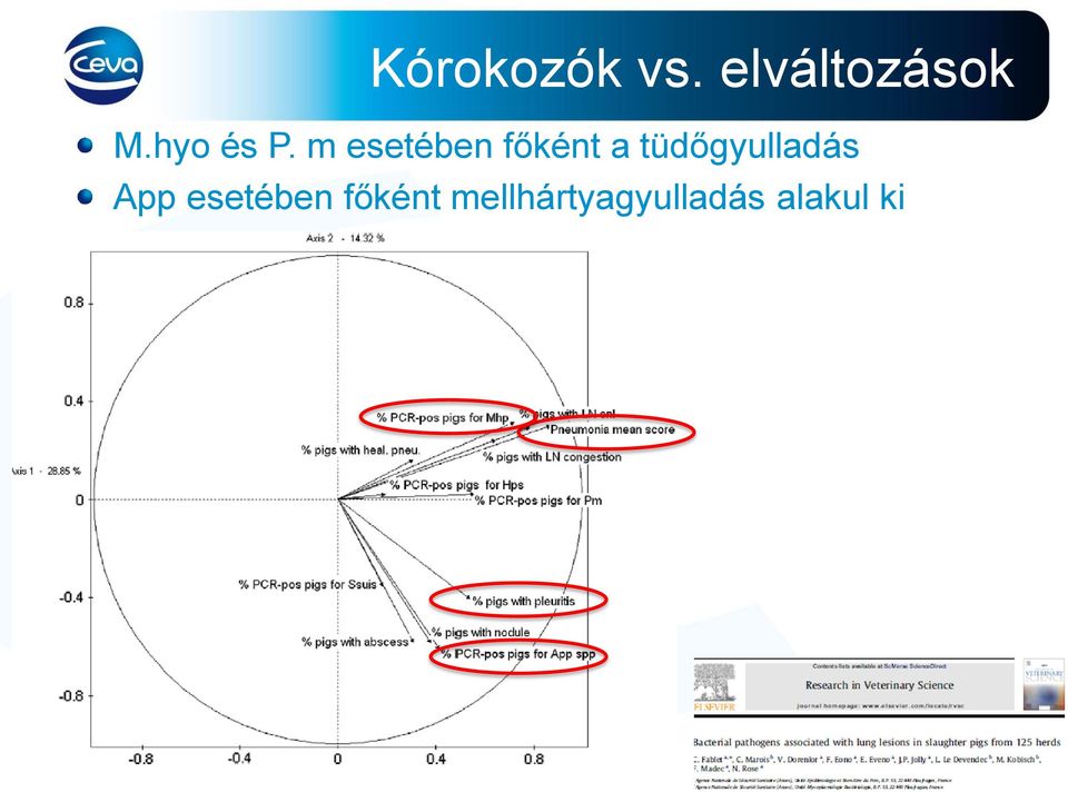 m esetében főként a