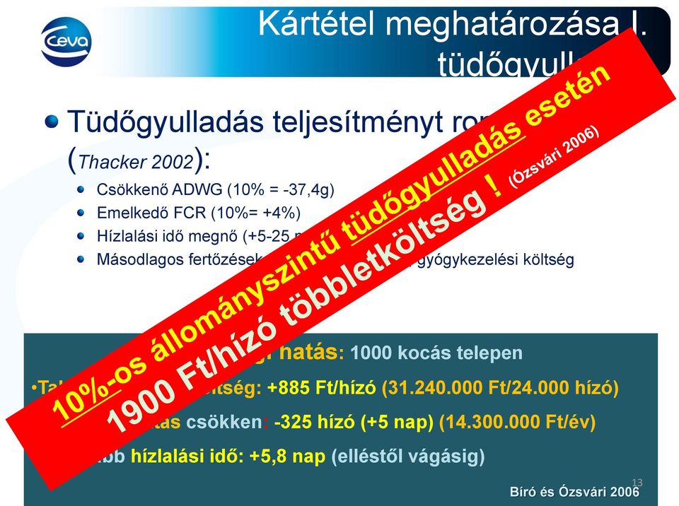 +4%) Hízlalási idő megnő (+5-25 nap) Másodlagos fertőzések, elhullás, selejtezés, gyógykezelési költség Gazdasági hatás: