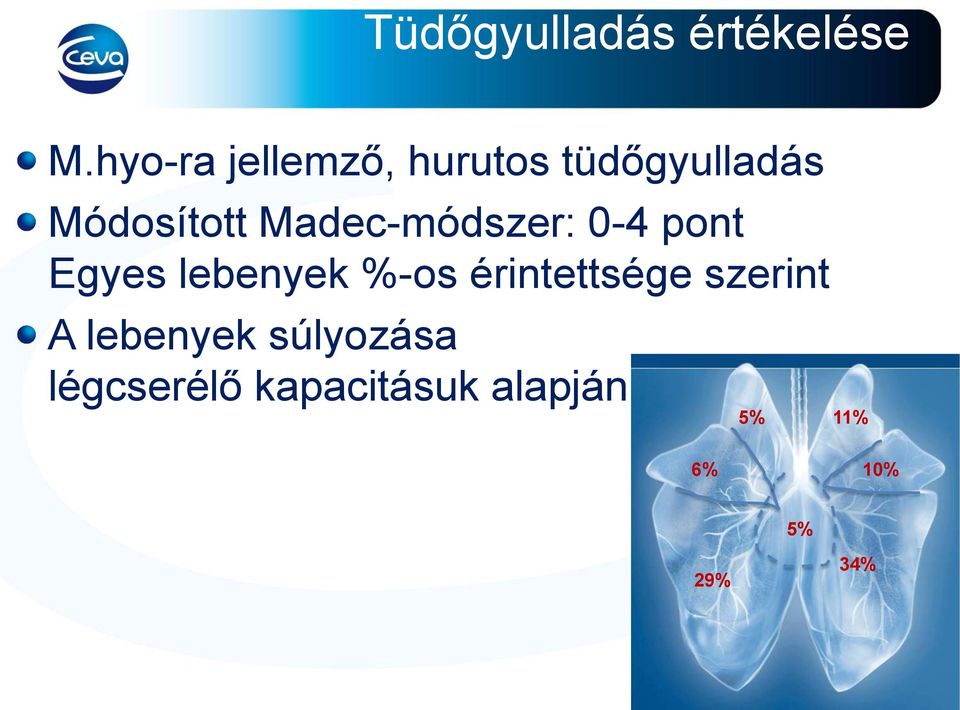 Madec-módszer: 0-4 pont Egyes lebenyek %-os