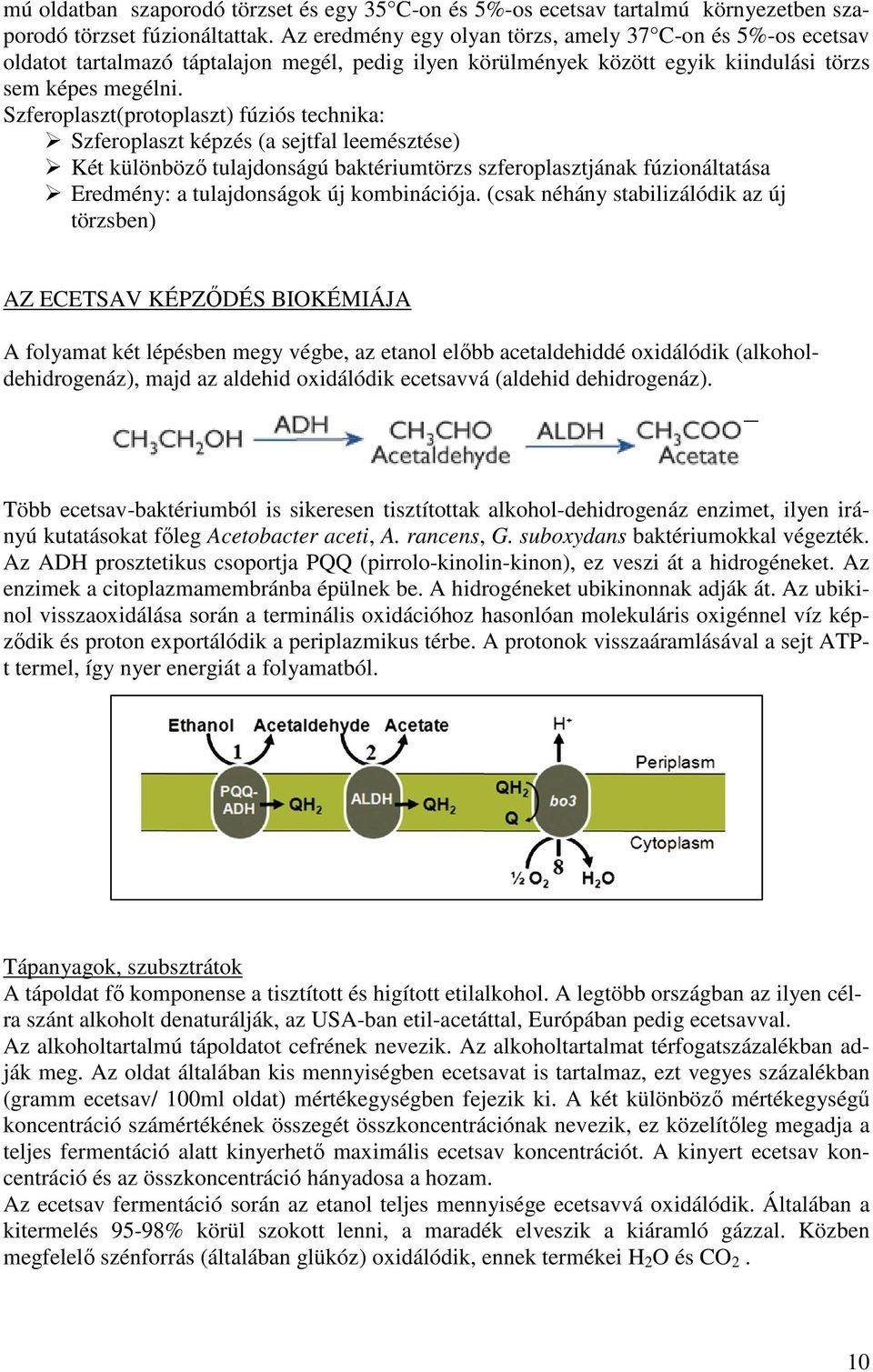 Szferoplaszt(protoplaszt) fúziós technika: Szferoplaszt képzés (a sejtfal leemésztése) Két különböző tulajdonságú baktériumtörzs szferoplasztjának fúzionáltatása Eredmény: a tulajdonságok új