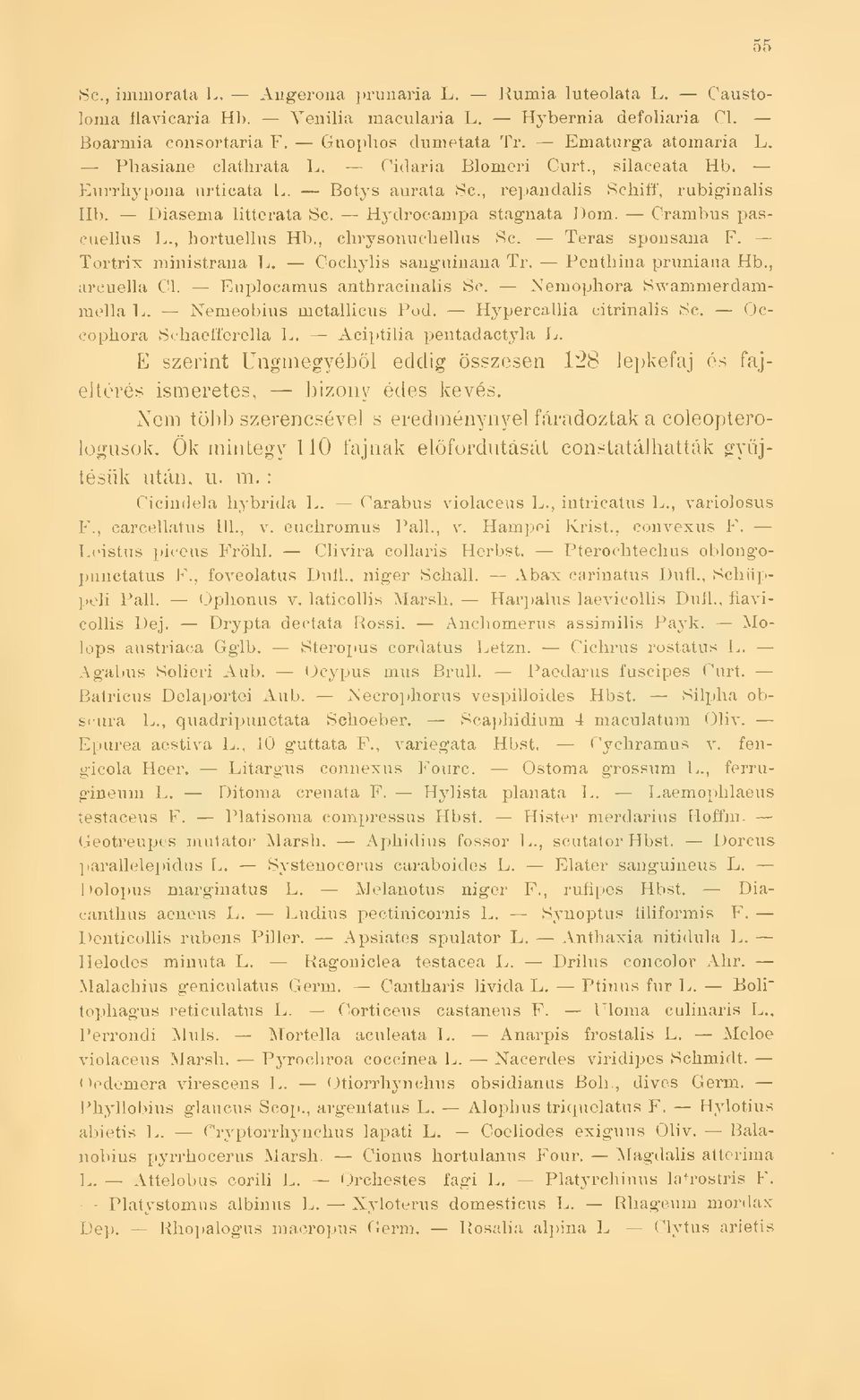 Crambus paseuellus L., hortuelhis Hb., chrysonuchellus Se. Teras sponsana F. Tortrix ministrana L. Cochylis sanguinana Tr. Penthiiia pruniana Hb., arcuella Cl. Euplocamus anthracinalis Se.