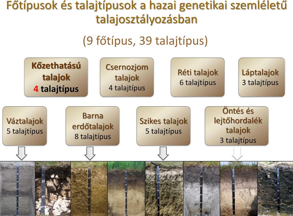 talajtípus Csernozjom 4 talajtípus Réti 6 talajtípus Láp 3 talajtípus