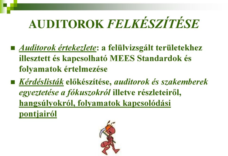 értelmezése Kérdéslisták előkészítése, auditorok és szakemberek