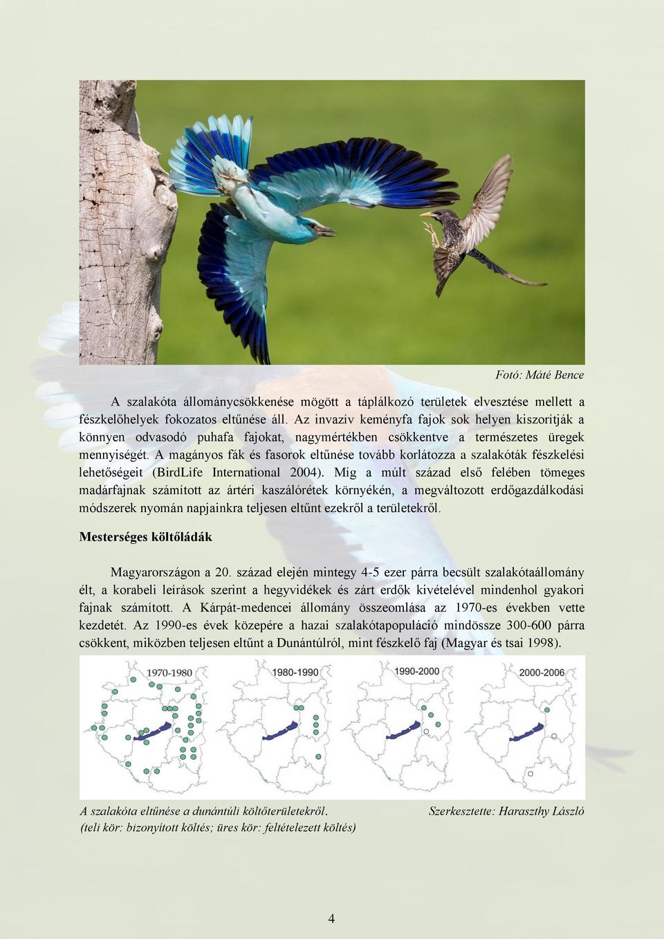 A magányos fák és fasorok eltűnése tovább korlátozza a szalakóták fészkelési lehetőségeit (BirdLife International 2004).