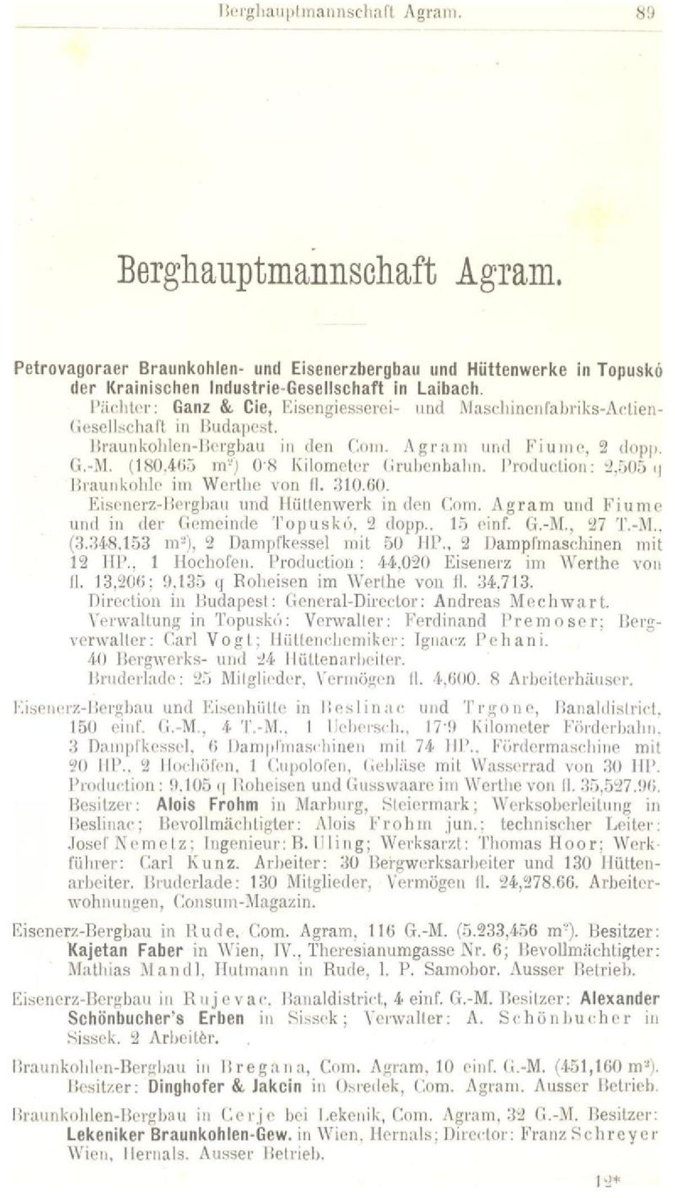 Production; 2,505 o Braunkohlé im Werthe von II. 310.60. Bisenerz-Bergbau und Hüttenwerk in den Com. Agram und Fiume und in der Gemeinde Topuskó. 2 dopp.. 15 einf. G.-M., 27 T.-M.. (3.348.