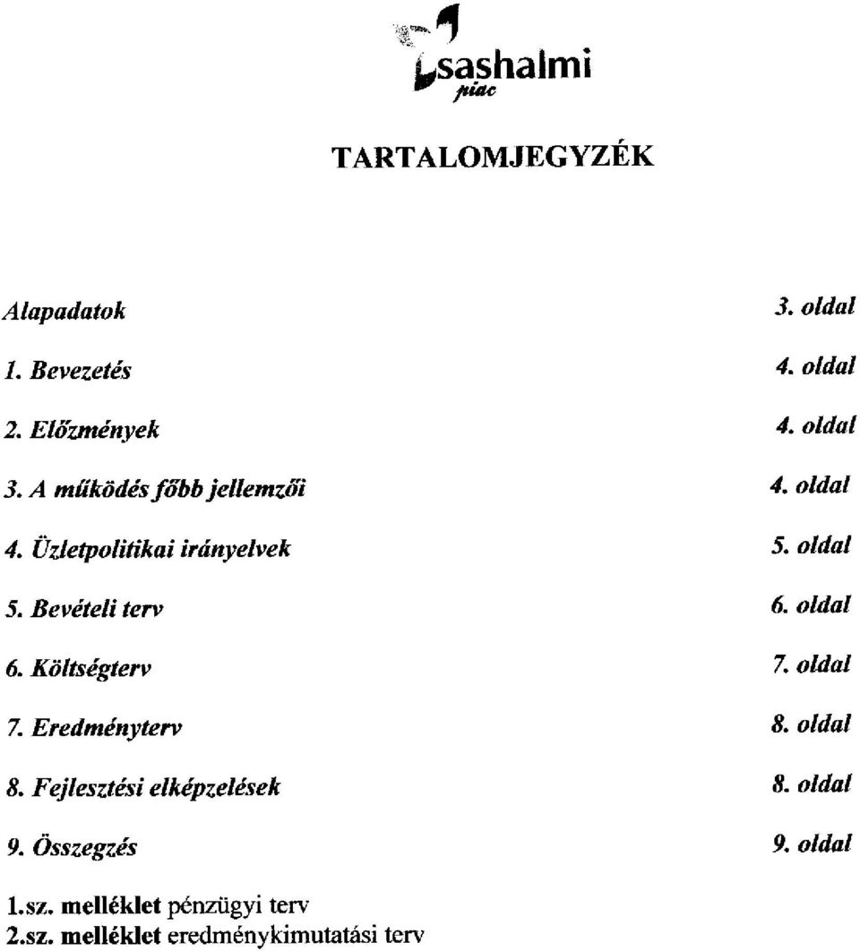 Bevételi terv 6. oldal 6. Költségterv 7. oldal 7. Eredményterv 8. oldal 8.