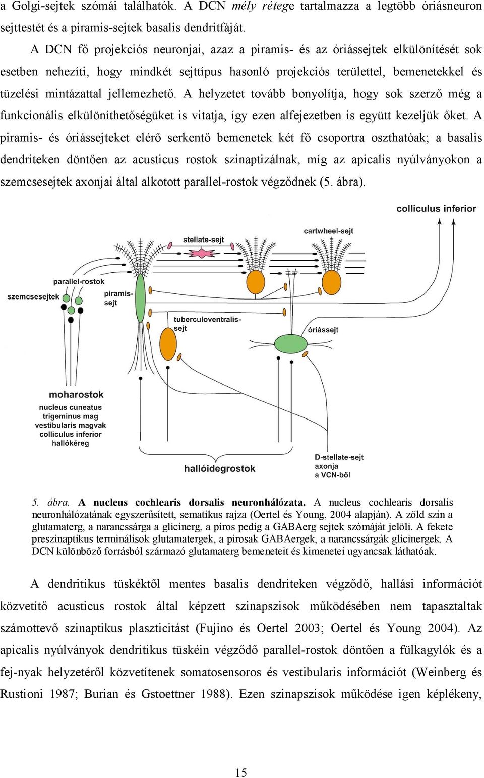 jellemezhető. A helyzetet tovább bonyolítja, hogy sok szerző még a funkcionális elkülöníthetőségüket is vitatja, így ezen alfejezetben is együtt kezeljük őket.