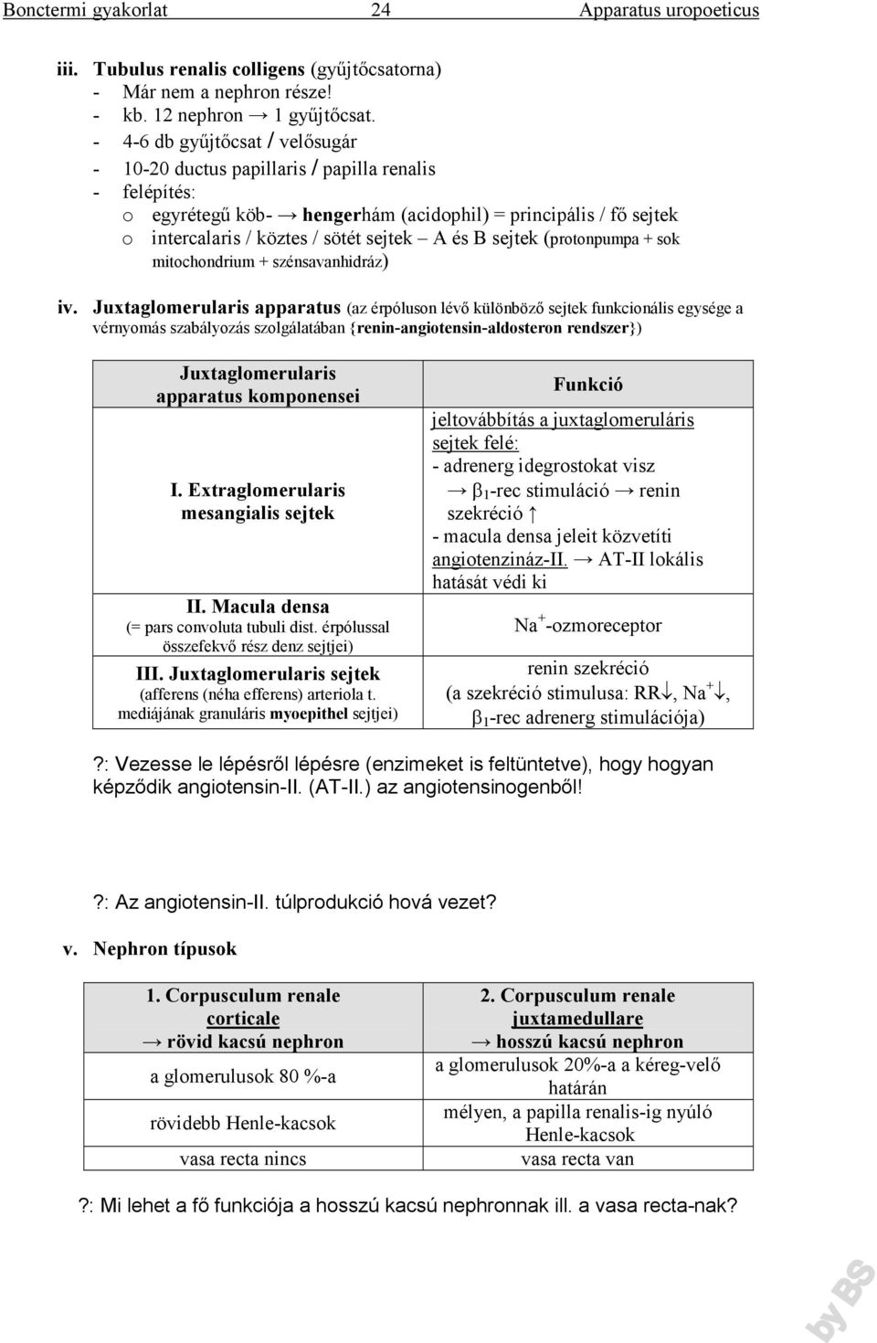 sejtek (protonpumpa + sok mitochondrium + szénsavanhidráz) iv.