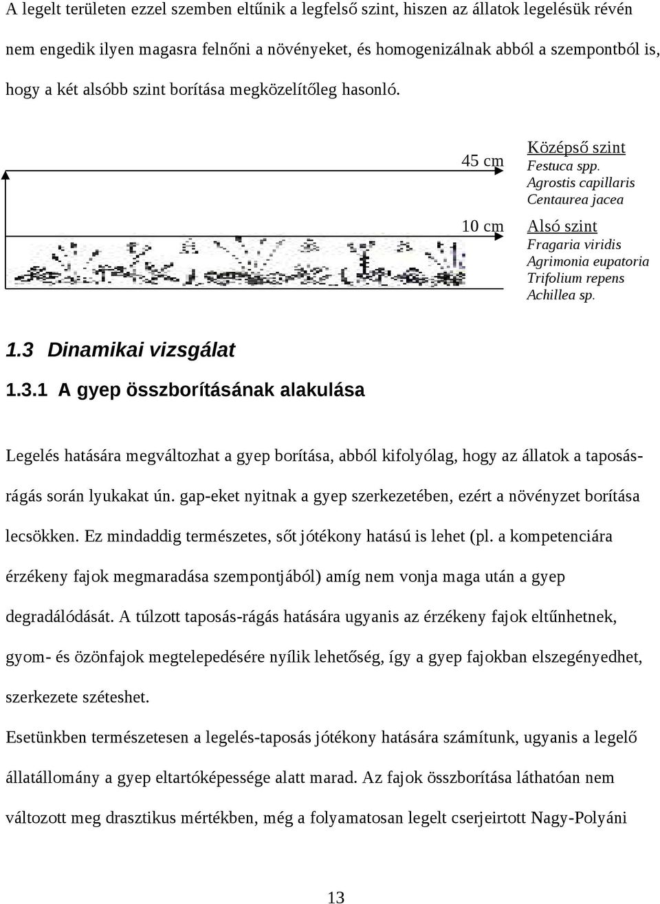 3.1 A gyep összborításának alakulása Legelés hatására megváltozhat a gyep borítása, abból kifolyólag, hogy az állatok a taposásrágás során lyukakat ún.