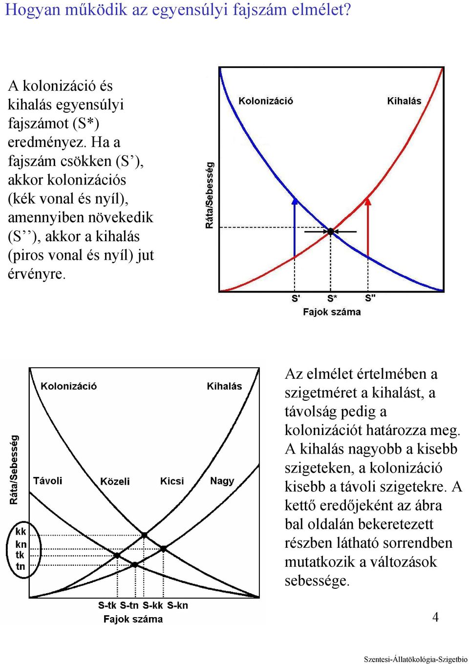 érvényre. Az elmélet értelmében a szigetméret a kihalást, a távolság pedig a kolonizációt határozza meg.