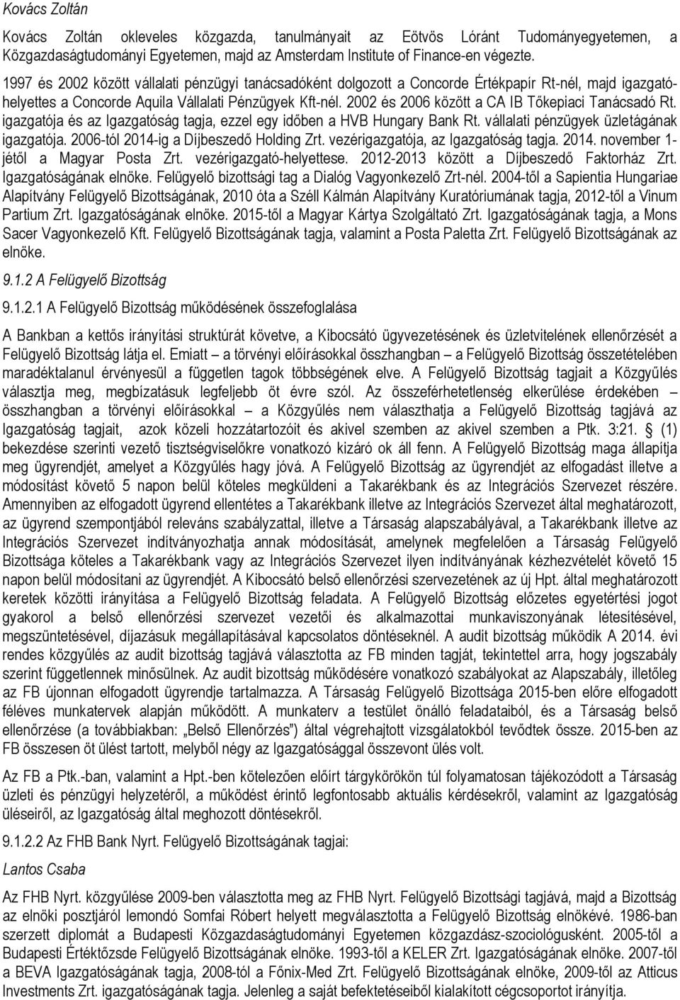 2002 és 2006 között a CA IB Tőkepiaci Tanácsadó Rt. igazgatója és az Igazgatóság tagja, ezzel egy időben a HVB Hungary Bank Rt. vállalati pénzügyek üzletágának igazgatója.