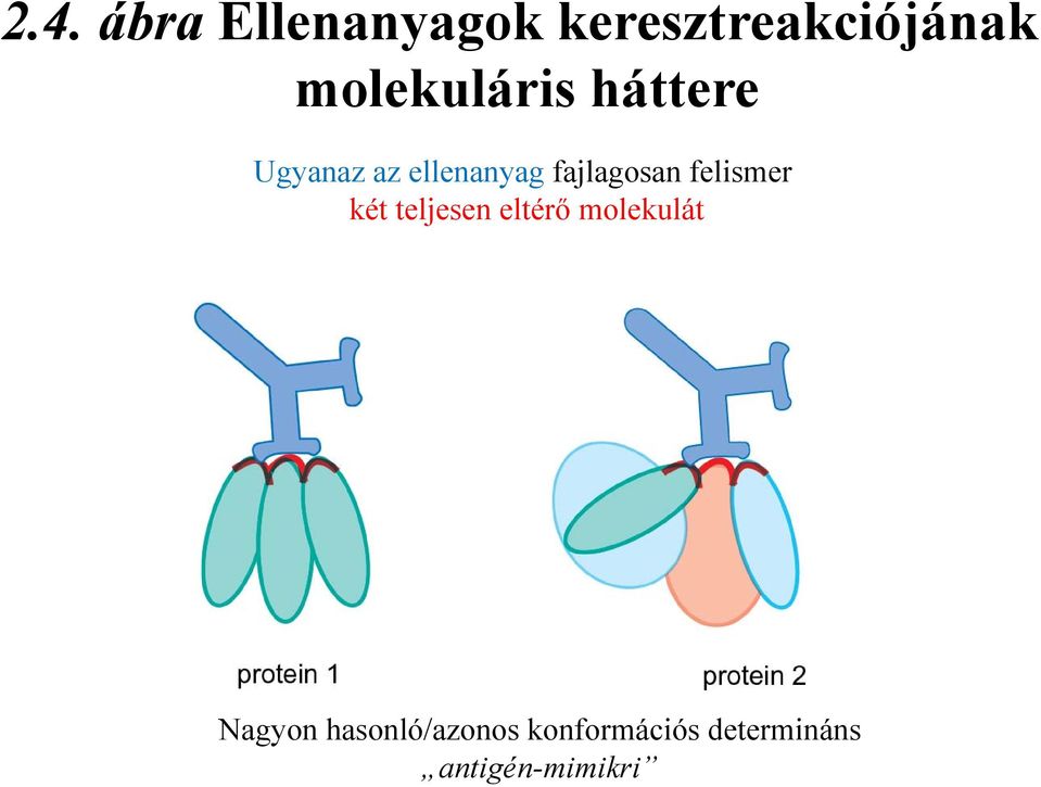 fajlagosan felismer két teljesen eltérő molekulát