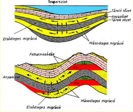 A szénhidrogének keletkezése és csapdázódása A szénhidrogének keletkezéséhez nagymennyiségű szerves üledék szükséges (növényi,