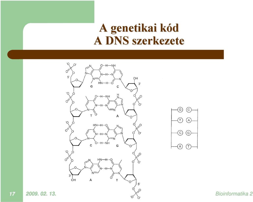 szerkezete