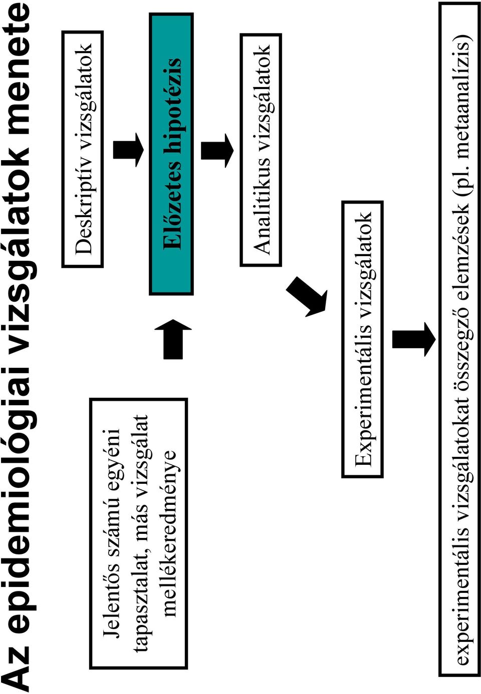 vizsgálatok Elızetes hipotézis Analitikus vizsgálatok