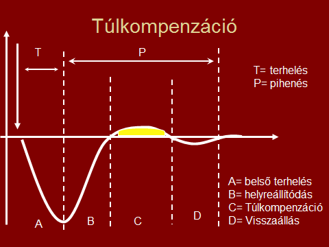 Edzőtársak, edzőkapcsolat, csoporthelyzet, rangsor Versenytársak, ellenfelek sportszerűség, elismerés, tolerálás Versenybírók kapcsolat, kommunikáció Társadalmi a sport és a sportszerű életmód