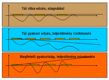 A túl gyakori terhelésnél a pihenőidő túl rövid, a következő terhelés még a helyreállítódás kezdetén éri a szervezetet, így az egyén fáradtan edz, túlterhelés, rosszabb esetben túledzettség léphet