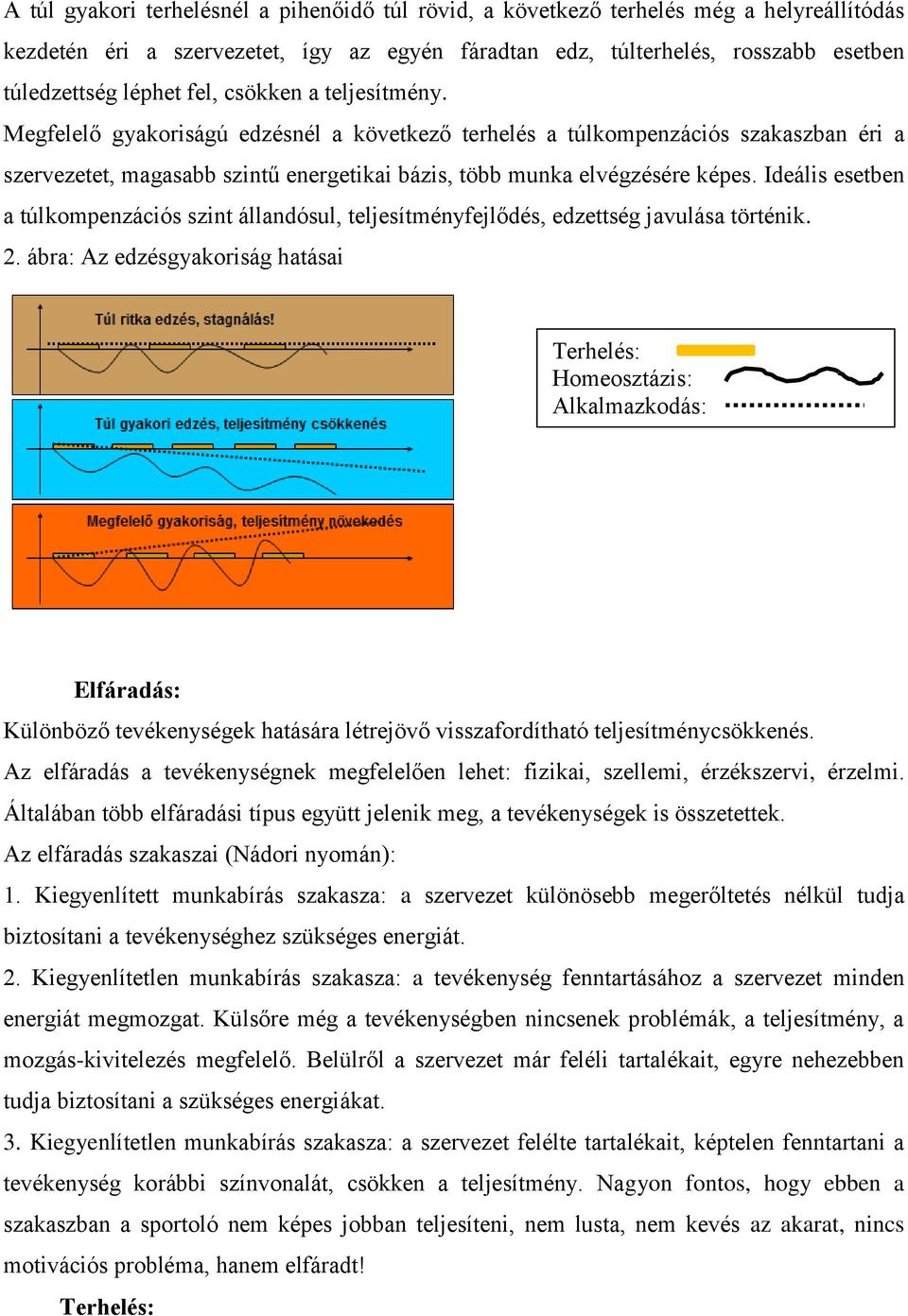 Ideális esetben a túlkompenzációs szint állandósul, teljesítményfejlődés, edzettség javulása történik. 2.