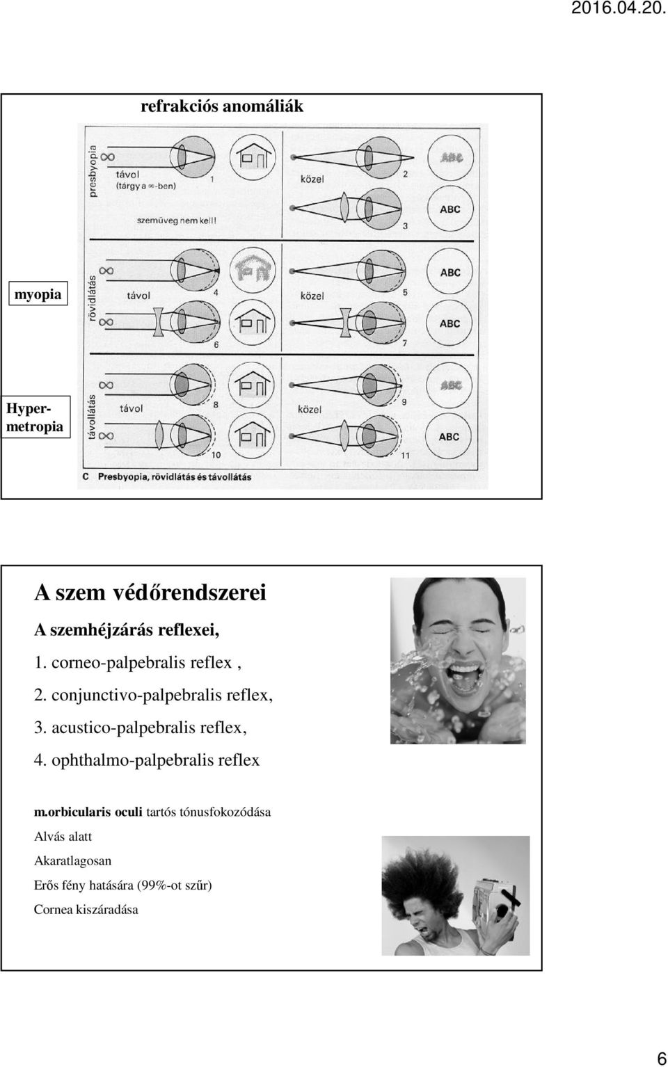 acustico-palpebralis reflex, 4. ophthalmo-palpebralis reflex m.