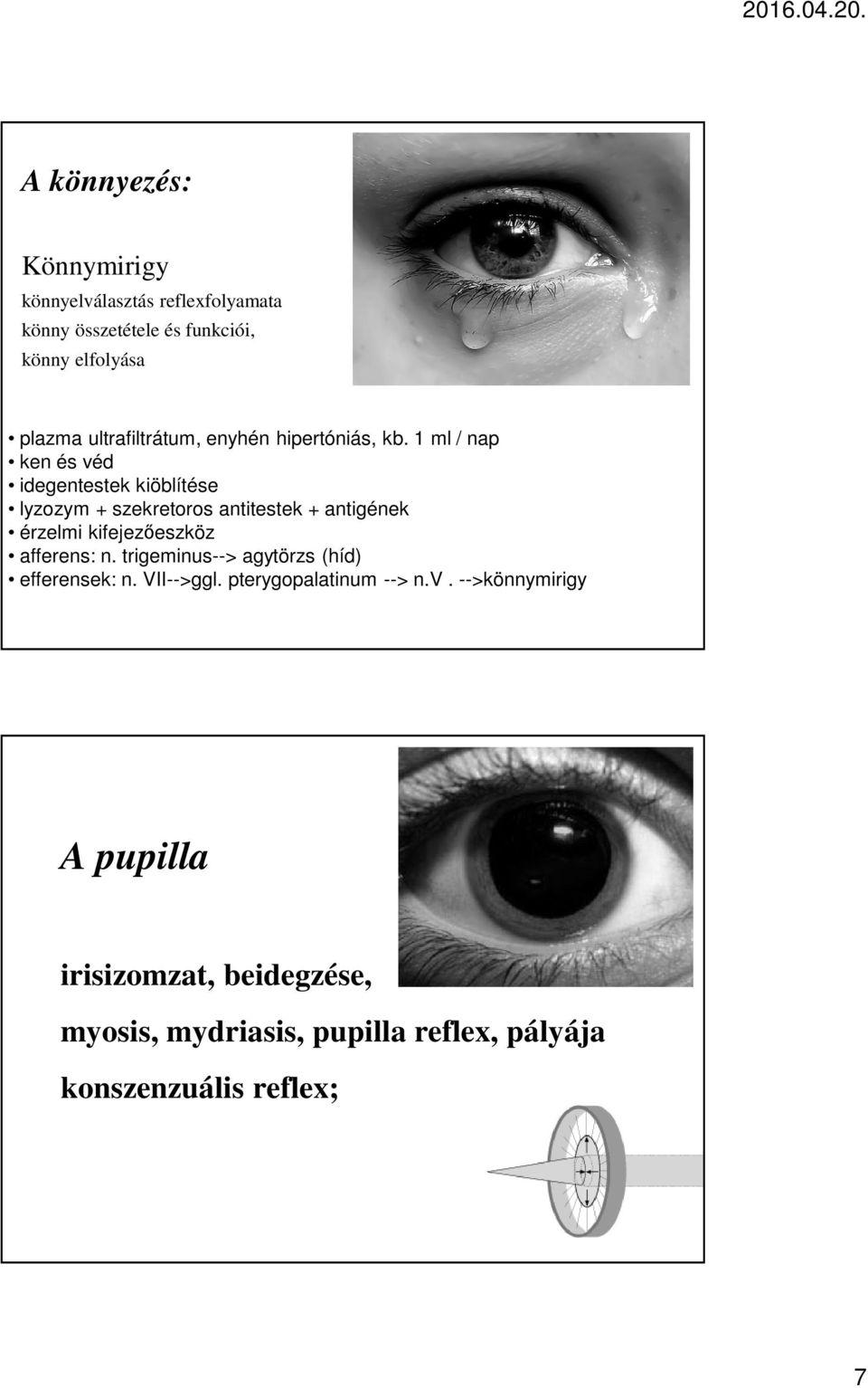 1 ml / nap ken és véd idegentestek kiöblítése lyzozym + szekretoros antitestek + antigének érzelmi kifejezőeszköz