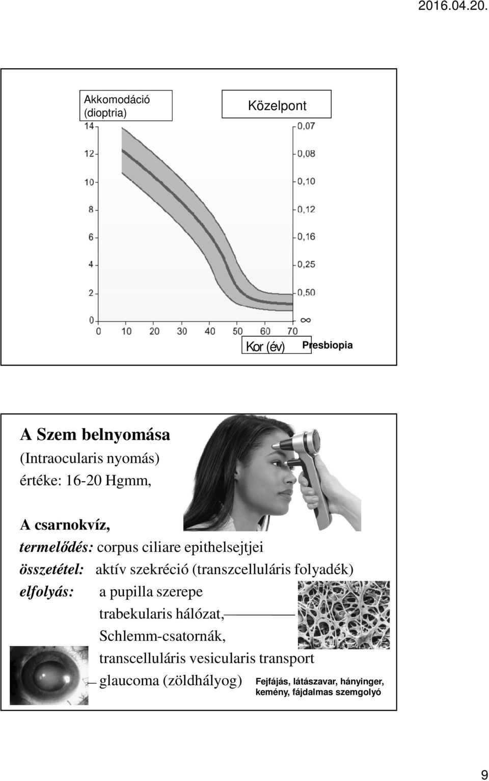 (transzcelluláris folyadék) elfolyás: a pupilla szerepe trabekularis hálózat, Schlemm-csatornák,